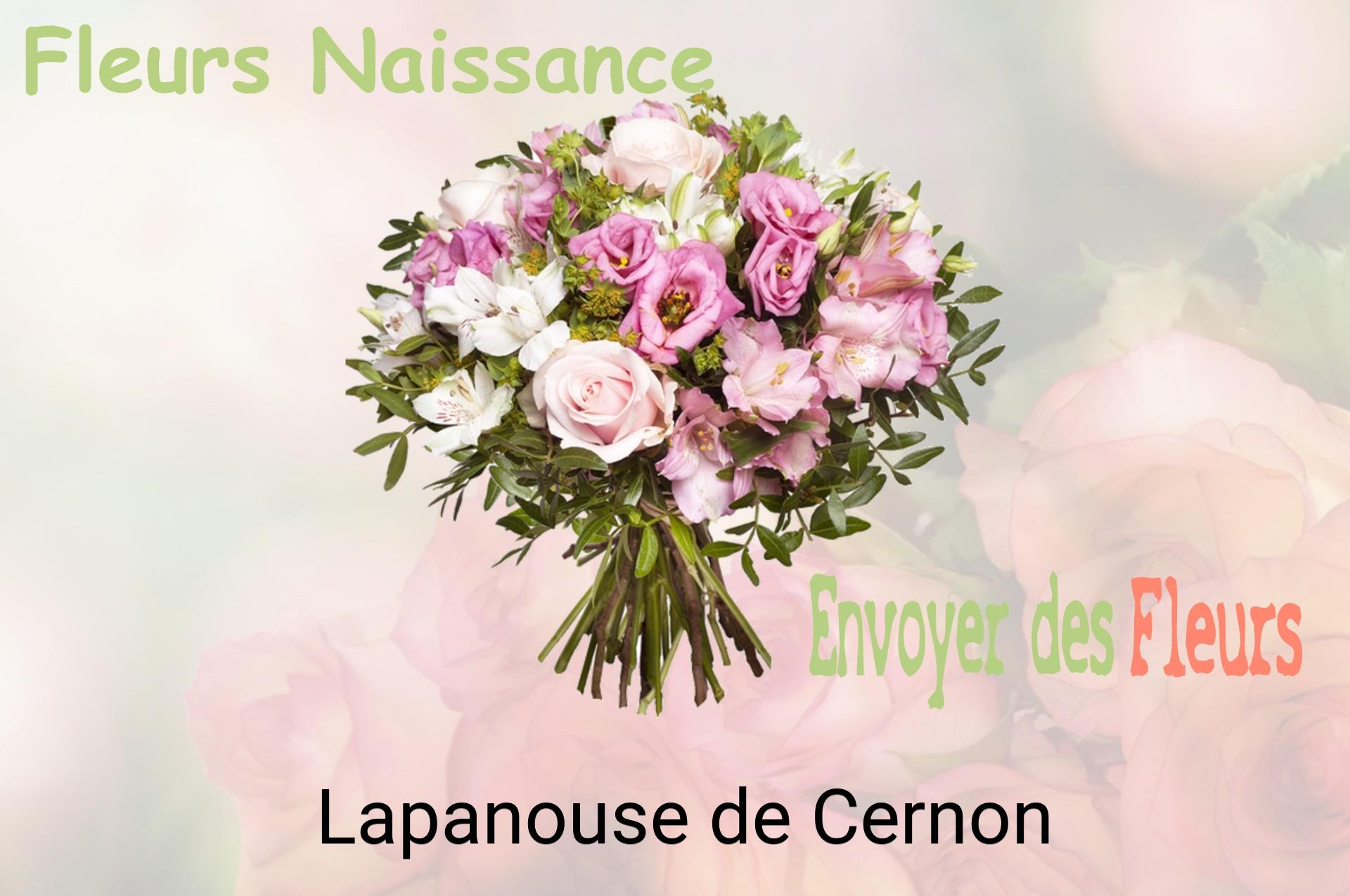 Bouquet de fleurs de naissance livré à Lapanouse-de-Cernon